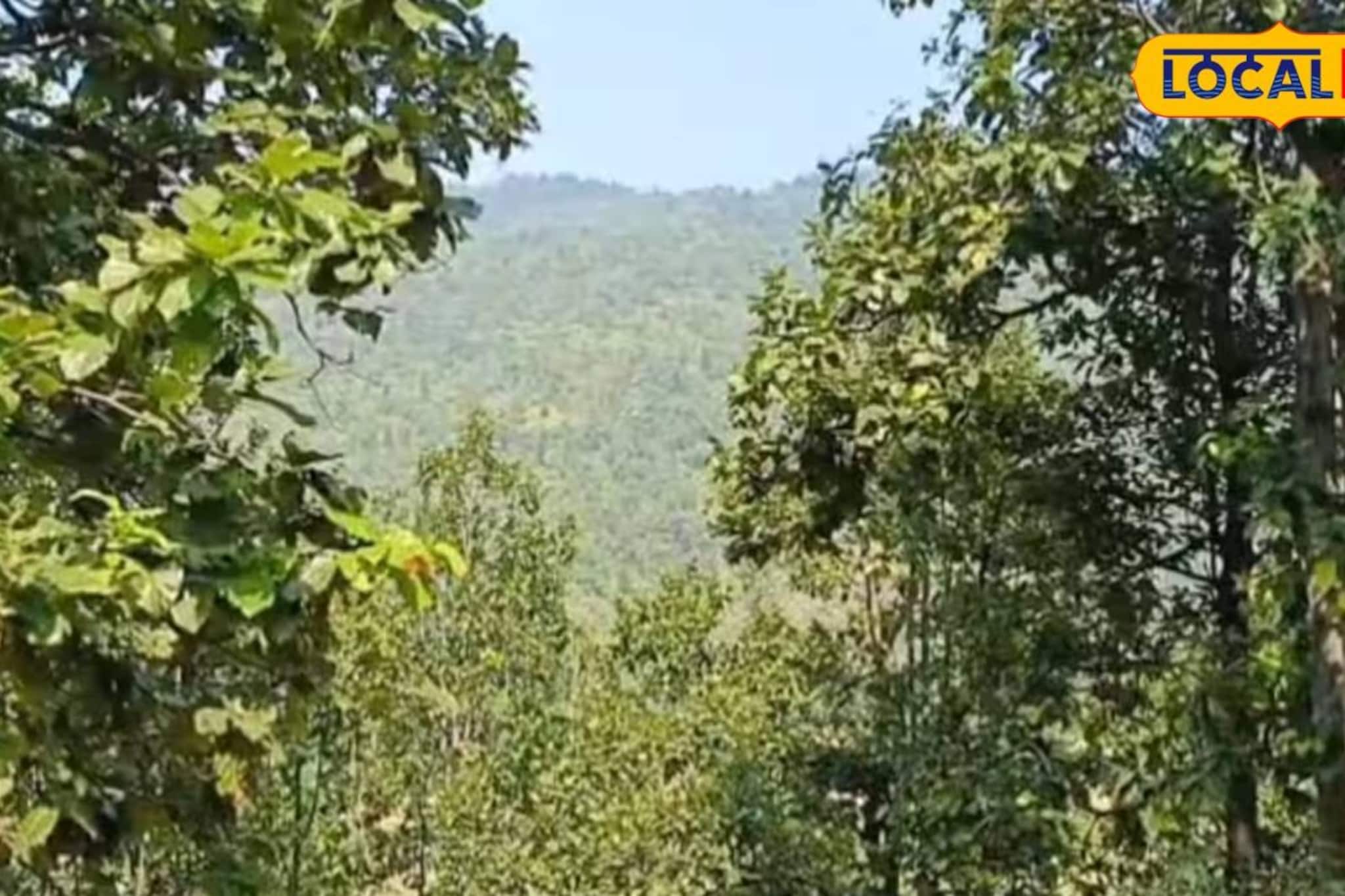 পুরুলিয়ায় অ্যাকশনে বন বিভাগ! ঘুরতে যাওয়ার প্ল্যান থাকলে জানুন জেলায় কী হচ্ছে