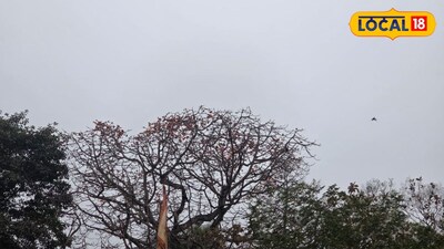 ঝাড়গ্রামের আকাশ মেঘে ঢাকা