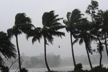 IMD Weather Update: নিম্নচাপের জেরে বৃষ্টির পূর্বাভাস, কবে থেকে ভিজবে বাংলা? আবহাওয়ার খবর