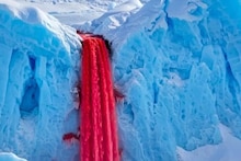 Antarctica Blood Waterfalls: ঠিক যেন রক্তধারা ! অ্যান্টার্কটিকায় একটি জলপ্রপাত আছে যার রক্তবর্ণ দেখে চমকে উঠবেন