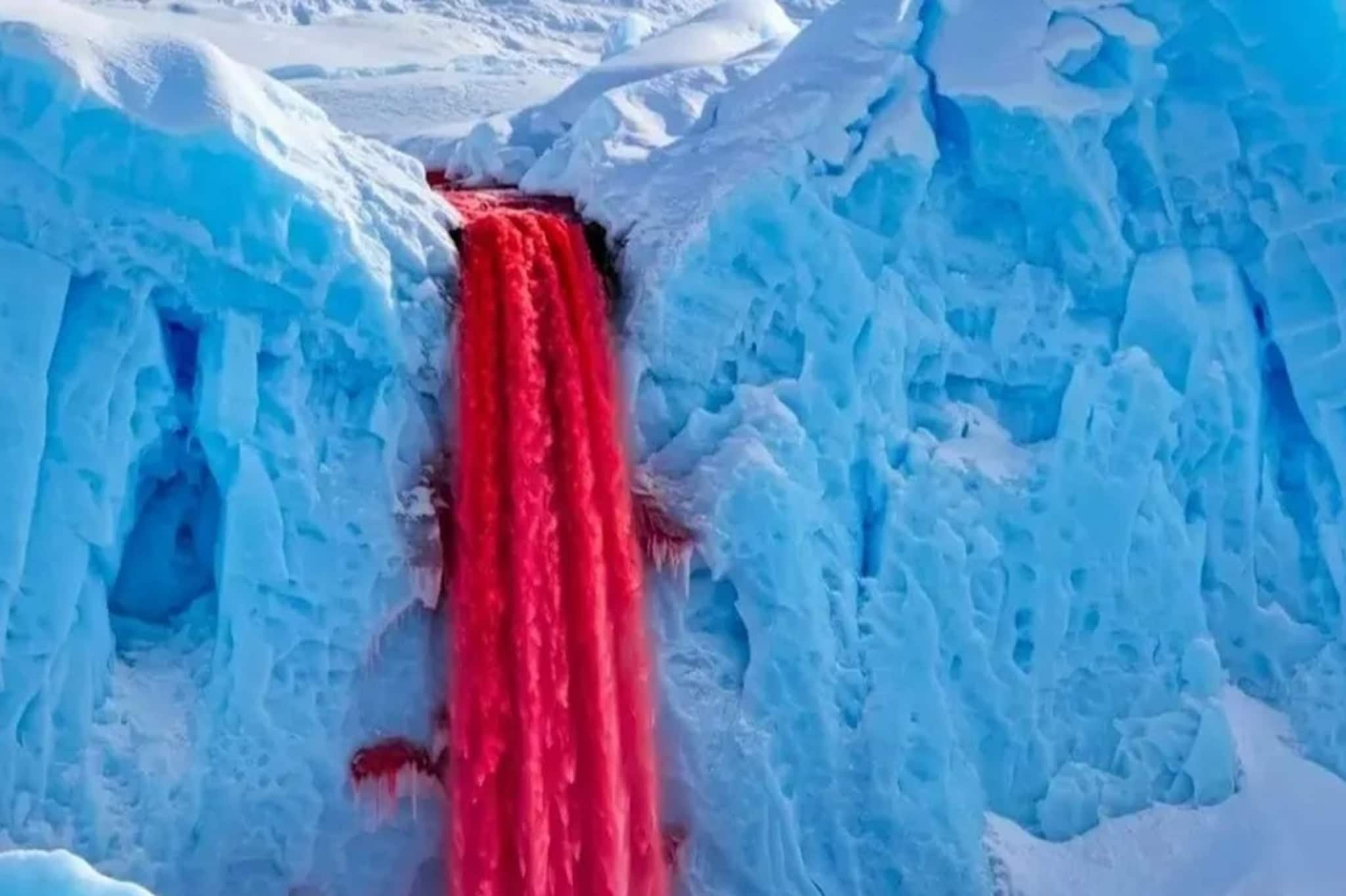 ঠিক যেন রক্তধারা ! অ্যান্টার্কটিকায় একটি জলপ্রপাত আছে যার রক্তবর্ণ দেখে চমকে উঠবেন