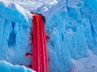 ঠিক যেন রক্তধারা ! অ্যান্টার্কটিকায় একটি জলপ্রপাত আছে যার রক্তবর্ণ দেখে চমকে উঠবেন