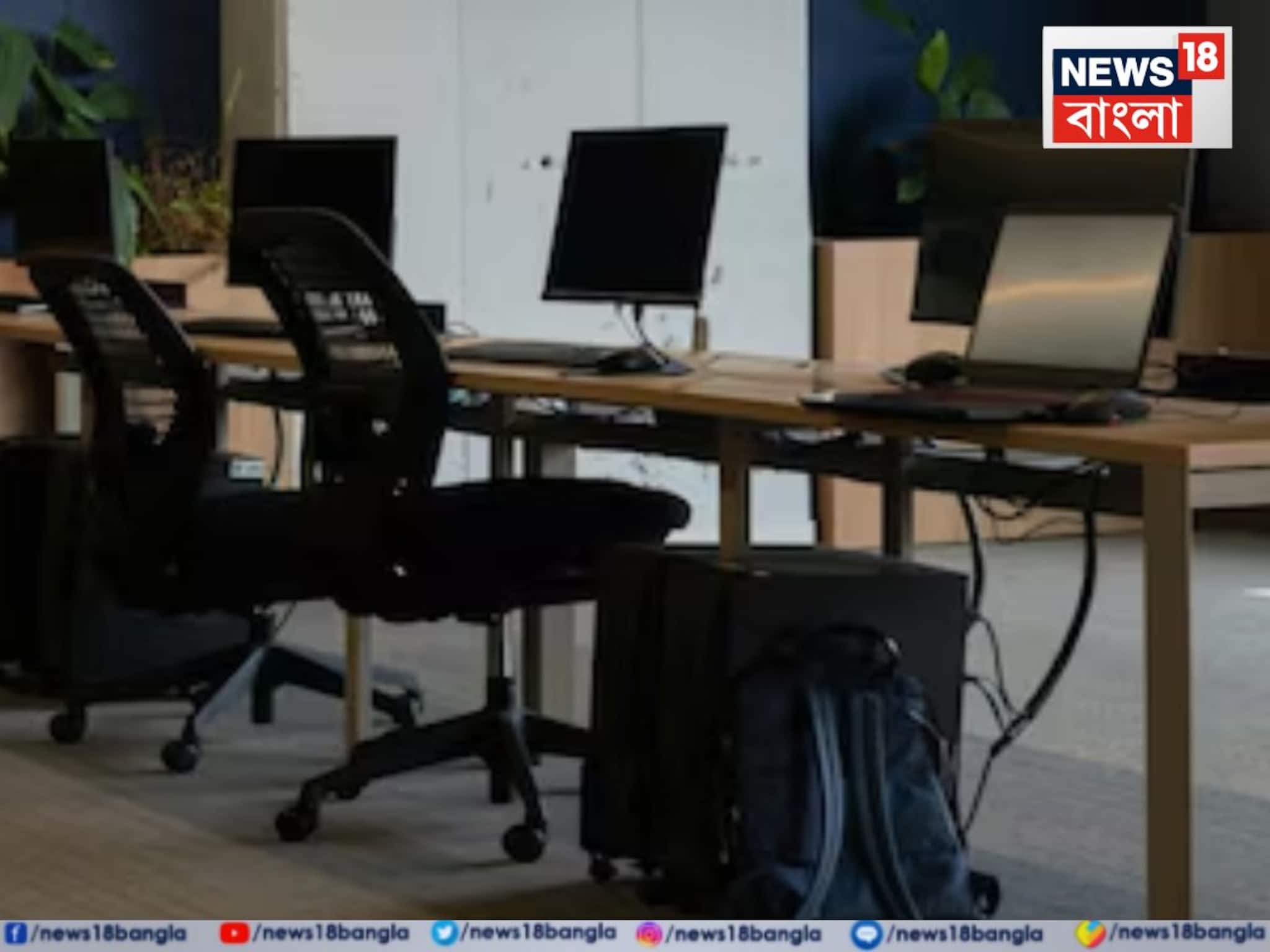 আট ঘণ্টা বসে কাজ করেন? 'এই' একটি চেয়ারেই ক্লান্তি-ব্যথা পুরো গায়েব, জানলে চমকে যাবেন