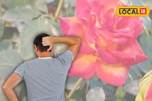 Rose Plantation: চাহিদা তুঙ্গে, দামও ভাল! তবুও কপালে ভাঁজ, ভ্যালেন্টাইন্স ডে-র আগে এই কারণে গোলাপ নিয়ে উদ্বেগ হাওড়ার চাষিদের