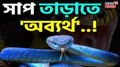 সাপ, ত্রিসীমানায় ঘেঁষবে না সাপ, রান্নাঘরের এই জিনিস, কোন জিনিস থাকলে সাপের উপদ্রব কমবে, অব্যর্থ তুক, সাপ তাড়ানোর অব্যর্থ তুক, সাপ তাড়াতে মোক্ষম টোটকা, সাপ তাড়ানোর উপায়, সাপ তাড়াতে নিম তেল, সাপ তাড়াতে রসুন তেল, সাপ তাড়াতে কেরোসিন তেল, সাপ তাড়াতে কার্বলিক অ্যাসিড, সাপ তাড়াতে রসুন, বর্ষাকালে সাপের উপদ্রব, শীতকাল, বাড়ির ত্রিসীমানায় ঘেঁষবে না বিষধর, সঠিক কায়দা জানুন, সর্ষের তেল দিয়ে সাপ তাড়ানো, সাপ তাড়াতে কী কী উপায়, সাপ তাড়াতে ভিনিগার, অ্যামোনিয়া, সাপ তাড়াতে লবঙ্গ তেল, দারচিনি, দারচিনি তেল দিয়ে সাপ তাড়ান, রান্নাঘরের সাপ তাড়ানোর উপাদান, মোক্ষম উপাদান, গন্ধ, সাপের শত্রু, বিষধরের জন্য বিপদ, লতা, কোন গন্ধে সাপ পালায়, কোন গন্ধ সাপ ভয় পায়, কোন গন্ধে পালায় লতা, কোন গন্ধ বাড়ি থেকে সাপ তাড়ায়, সুরসুর করে পালায় সর্পকূল, কোন গন্ধে  সাপ কামড়ালে কী করবেন, পেঁয়াজ, রসুনের গন্ধ, তুলসী, পুদিনার গন্ধ, কোন গাছ লাগালে সাপ আসে, এই গন্ধে পালায় সাপ, কোন গন্ধে পালায় সাপ