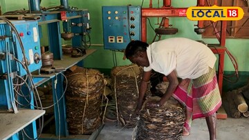 শালপাতার