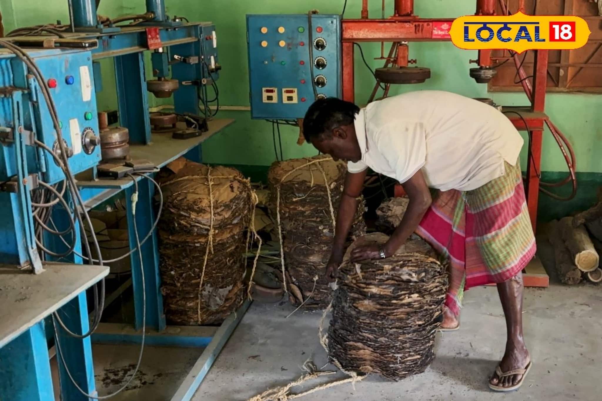 থার্মোকল, কাগজের দাপটে হারিয়ে যাচ্ছে শালপাতার দিন! আউশগ্রামে বন্ধ সরকারি কারখানা