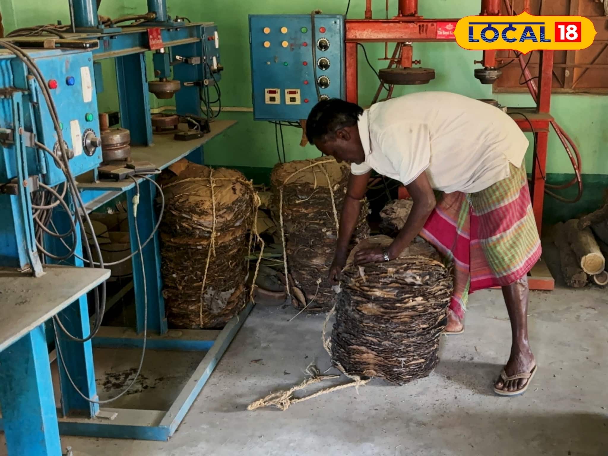 থার্মোকল, কাগজের দাপটে হারিয়ে যাচ্ছে শালপাতার দিন! আউশগ্রামে বন্ধ সরকারি কারখানা