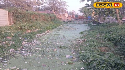 দূষিত ঐতিহাসিক সরস্বতী নদী