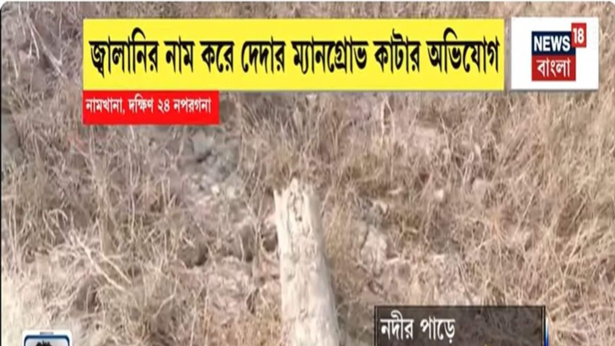 South 24Parganas News: হাতানিয়া-দোয়ানিয়া নদীর পাড়ের জঙ্গল কেটে সাফ, জ্বালানির নাম করে দেদার ম্যানগ্রোভ কাটার অভিযোগ