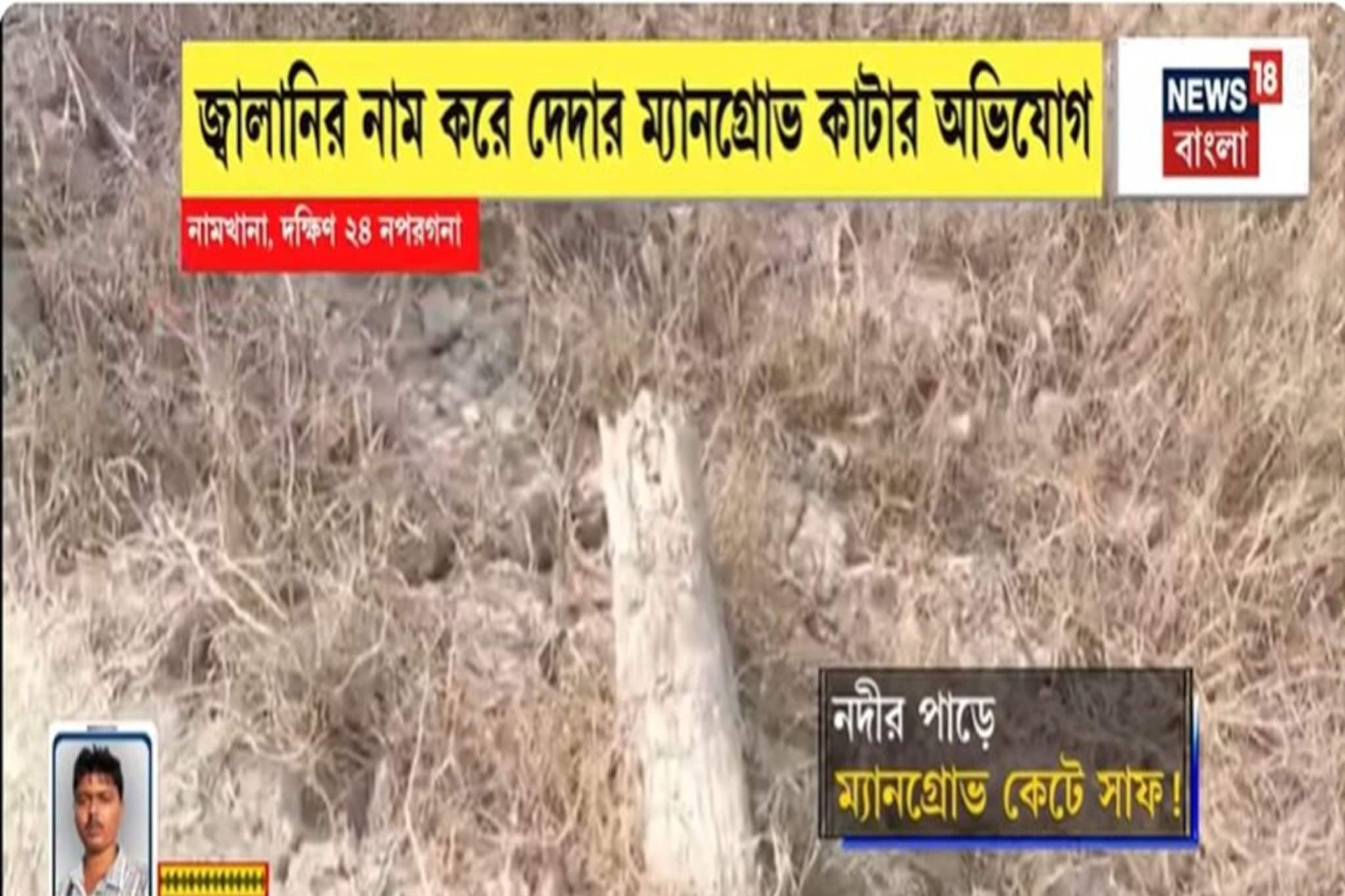 হাতানিয়া-দোয়ানিয়া নদীর পাড়ের জঙ্গল কেটে সাফ, জ্বালানির নামে দেদার ম্যানগ্রোভ কাটার অভিযোগ