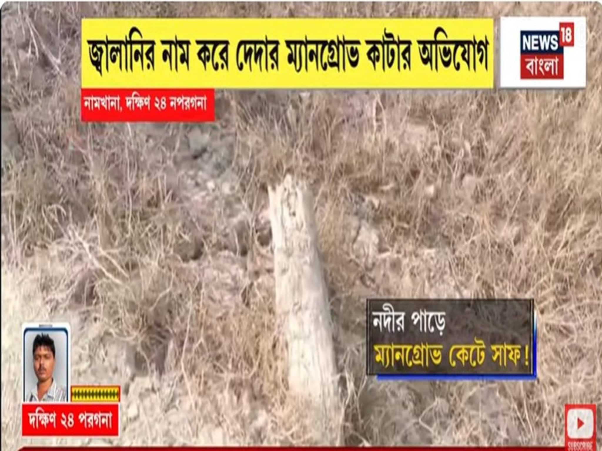 হাতানিয়া-দোয়ানিয়া নদীর পাড়ের জঙ্গল কেটে সাফ, জ্বালানির নামে দেদার ম্যানগ্রোভ কাটার অভিযোগ