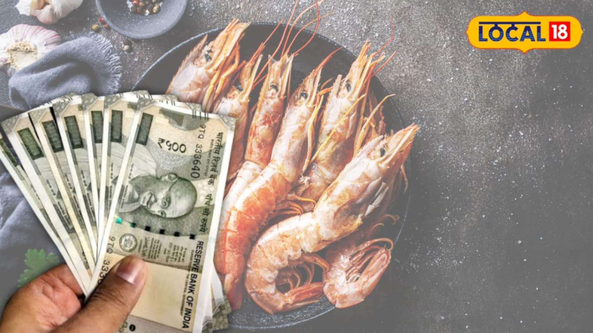 Shrimp Business: মন্দা কাটিয়ে ঘুরে দাঁড়ানোর পালা! জোড়া কারণে ফের চাঙ্গা বাংলার চিংড়ি ব্যবসা, খুশি ব্যবসায়ীরা Shrimp Business: মন্দা কাটিয়ে ঘুরে দাঁড়ানোর পালা! জোড়া কারণে ফের চাঙ্গা বাংলার চিংড়ি ব্যবসা, খুশি ব্যবসায়ীরা