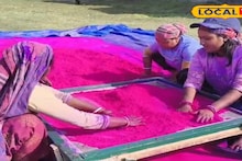 Organic Colors: রঙে রঙে রুজির গল্প! দোলের আগে ভেষজ আবির বানিয়ে সংসারের হাল ধরছেন মহিলারা, ৩ মাসের নিরলস পরিশ্রম সার্থক