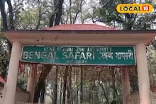 Siliguri News: মাসখানেক নিখোঁজের পর কঙ্কালসার দেহ উদ্ধার! বেঙ্গল সাফারিতে আর দেখা যাবে না 'সুইটি'কে, চিরবিদায় জানাল পর্যটকদের 'নয়নের মণি'