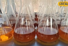 মানুষের মতোই মাটির স্বাস্থ্য পরীক্ষাও গুরুত্বপূর্ণ! ভ্রাম্যমাণ ল্যাব থেকে কৃষকদের হাতে সয়েল হেলথ কার্ড, কী কী সুবিধা দিচ্ছে সরকার?