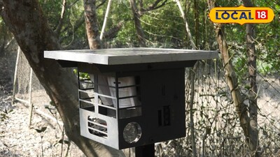 সুন্দরবনে প্রথমবার সৌরচালিত অত্যাধুনিক ডিভাইস বসানো হল 