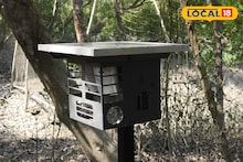 Sundarban News: বাঘের উপদ্রব রুখতে সুন্দরবনে বসল অত্যাধুনিক সৌরচালিত ডিভাইস! পাইলট প্রকল্পে চারপেয়ের নির্ভুল শনাক্তকরণ, কীভাবে কাজ করে এই যন্ত্র?