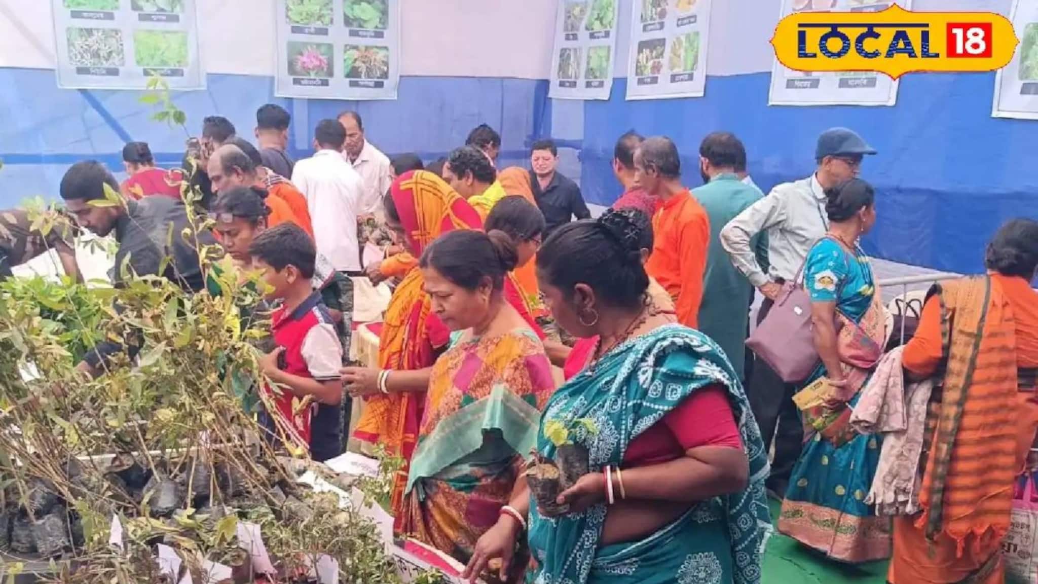 অ্যালোপ্যাথি নির্ভরতা ছেড়ে জনপ্রিয় হচ্ছে বিকল্প চিকিৎসা পদ্ধতি! কুলতলিতে আয়ুষ মেলার আয়োজন