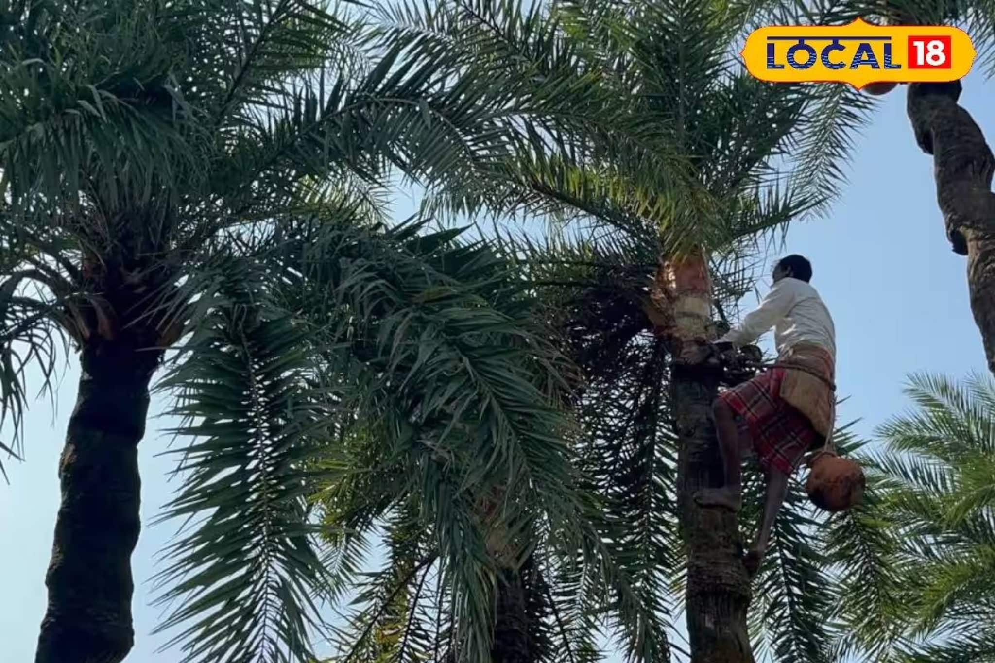 জেলা সমবায়ে যুক্ত হলে খুলবে কপাল! শিউলিরা কী কী সুবিধা পাবেন, বোঝালেন সরকারি আধিকারিকরা