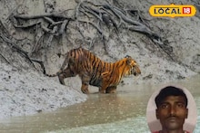 South 24 Parganas News: কাঁকড়া ধরার সময় আচমকা ঘাড়ে কামড়! গোসাবার মৎস্যজীবীকে তুলে নিয়ে গেল বাঘ, শোকে পাথর সন্তানসম্ভবা স্ত্রী