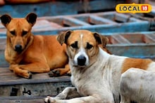 North 24 Parganas News: বিষ খাইয়ে ১৫টির বেশি সারমেয়কে মেরে ফেলার অভিযোগ! চরম নৃশংসতা বনগাঁয়, হবে মৃত কুকুরদের ময়নাতদন্ত