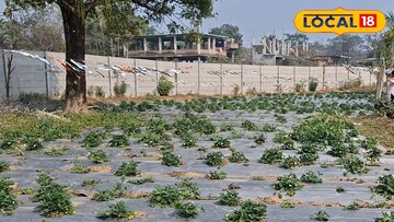 শিলিগুড়িতে