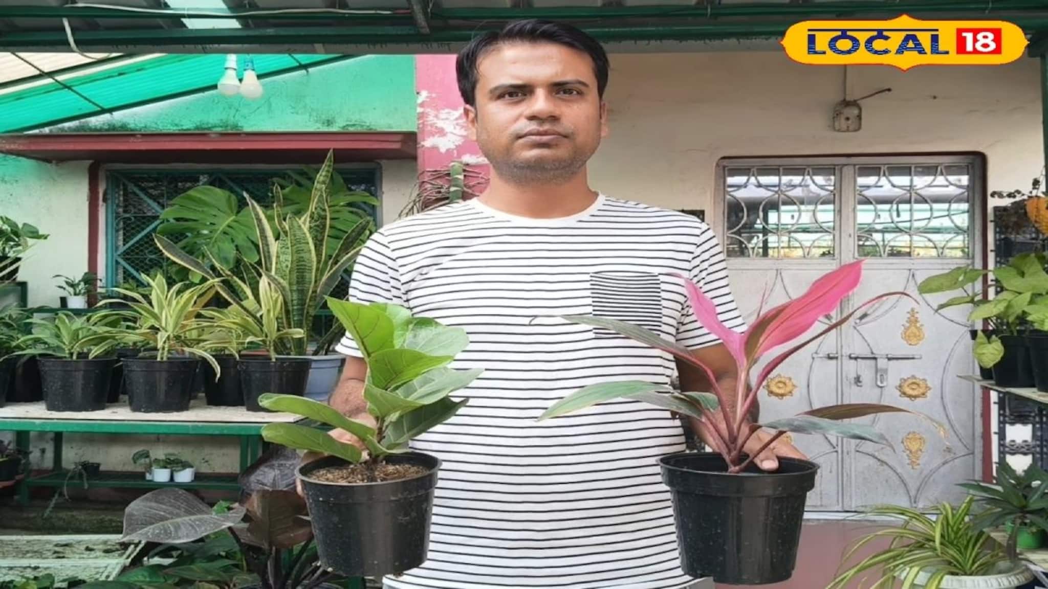 আদ্রার যুবকের ছাদবাগানে বাহারি গাছের সম্ভার, বাড়িতে ইনডোর প্ল্যান্ট রাখার সুফল জানেন!