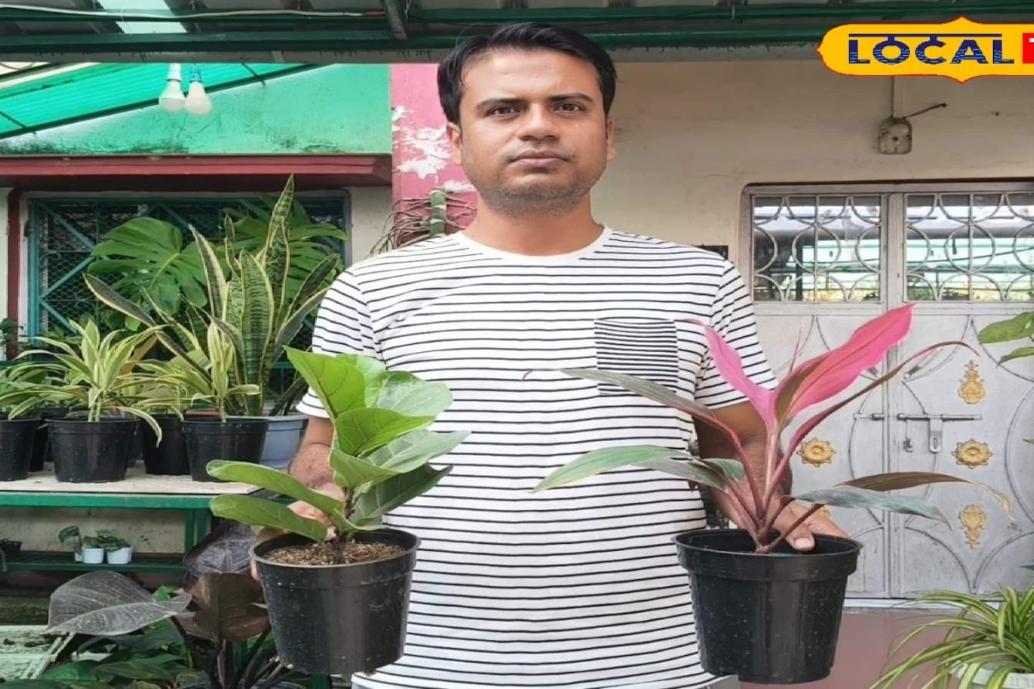 আদ্রার যুবকের ছাদবাগানে বাহারি গাছের সম্ভার, বাড়িতে ইনডোর প্ল্যান্ট রাখার সুফল জানেন!
