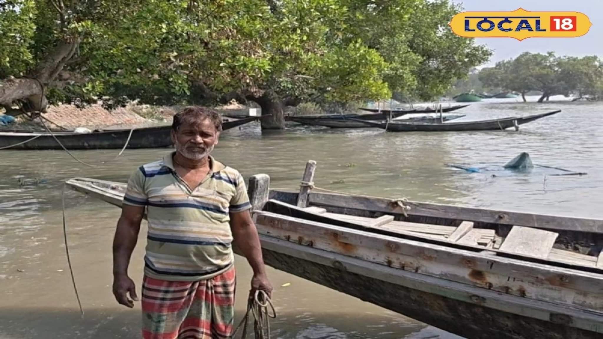 জলে কুমির, ডাঙায় বাঘ! জীবনের ঝুঁকি নিয়ে সুন্দরবনের খাঁড়িতে মাছ-কাঁকড়া সংগ্রহ