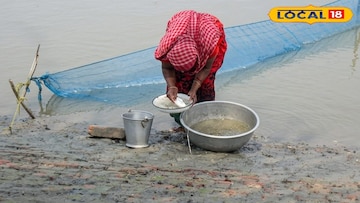 সুন্দরবনে