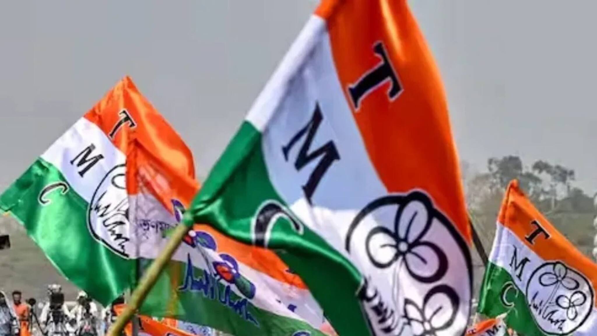 TMC: গুরুত্বপূর্ণ সাংগঠনিক জেলায় তৃণমূলের ডিস্ট্রিক্ট ইলেকশন কোর কমিটি, কী কাজ করবেন এই সদস্যরা?