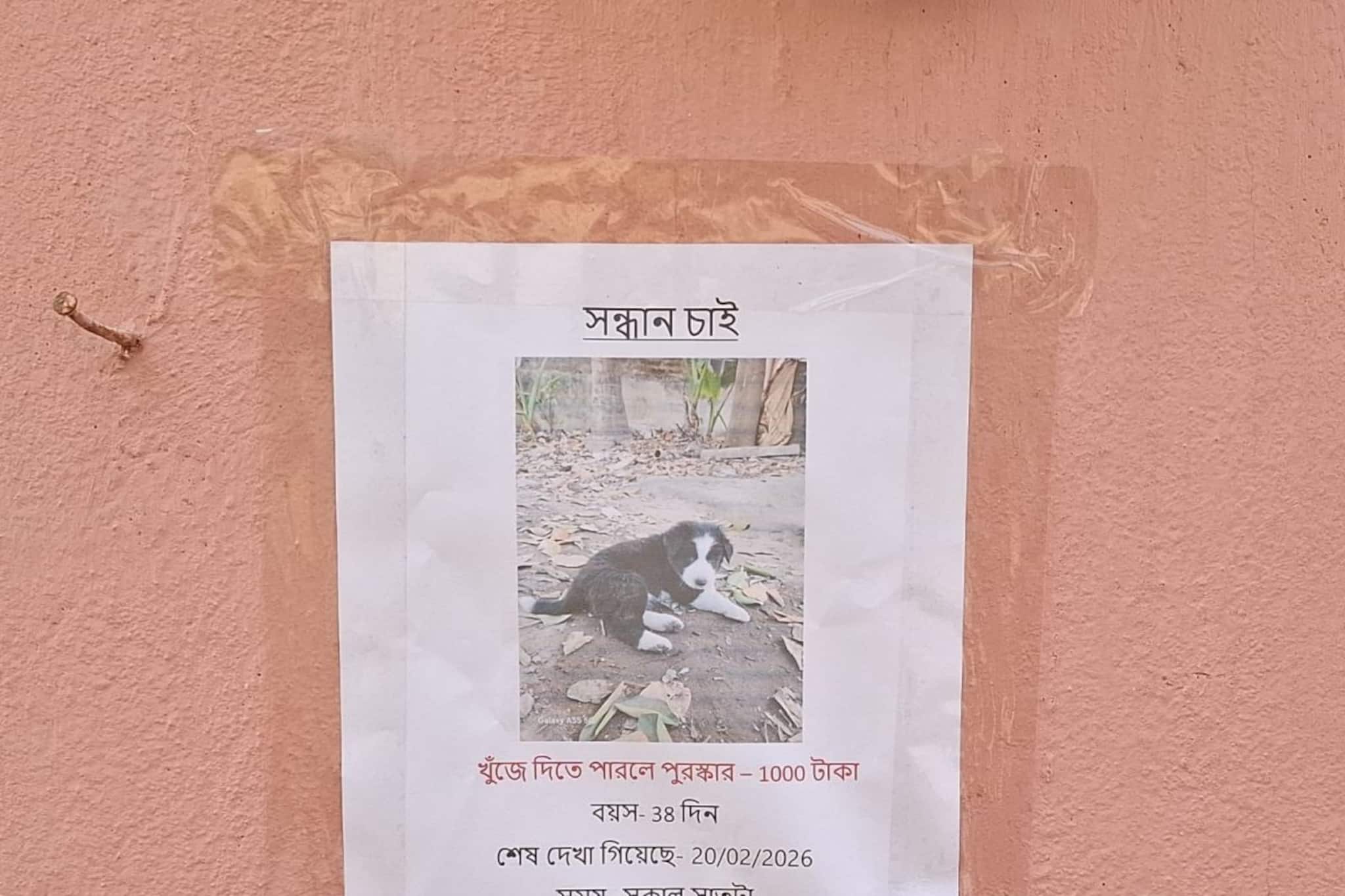 ‘টুনটুনি’ নিঁখোজ! পোস্টারে পোস্টারে ছেয়ে গেল বর্ধমানের এই এলাকা, থানায় ডায়েরি পরিবারের ‘টুনটুনি’ নিঁখোজ! পোস্টারে পোস্টারে ছেয়ে গেল বর্ধমানের এই এলাকা, থানায় ডায়েরি পরিবারের