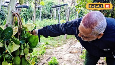 অদ্ভুত দেখতে কাঁঠাল