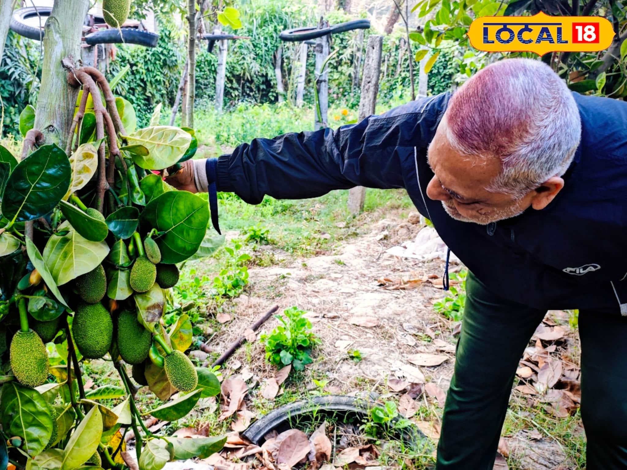 আকারে ছোট, গুণে সেরা! বাজারে হাজির ফাইবারে ঠাসা ‘কিউট’ কাঁঠাল, কিনতে উপচে পড়া ভিড়