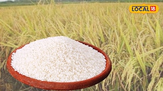 তুলাইপাঞ্জি চাল