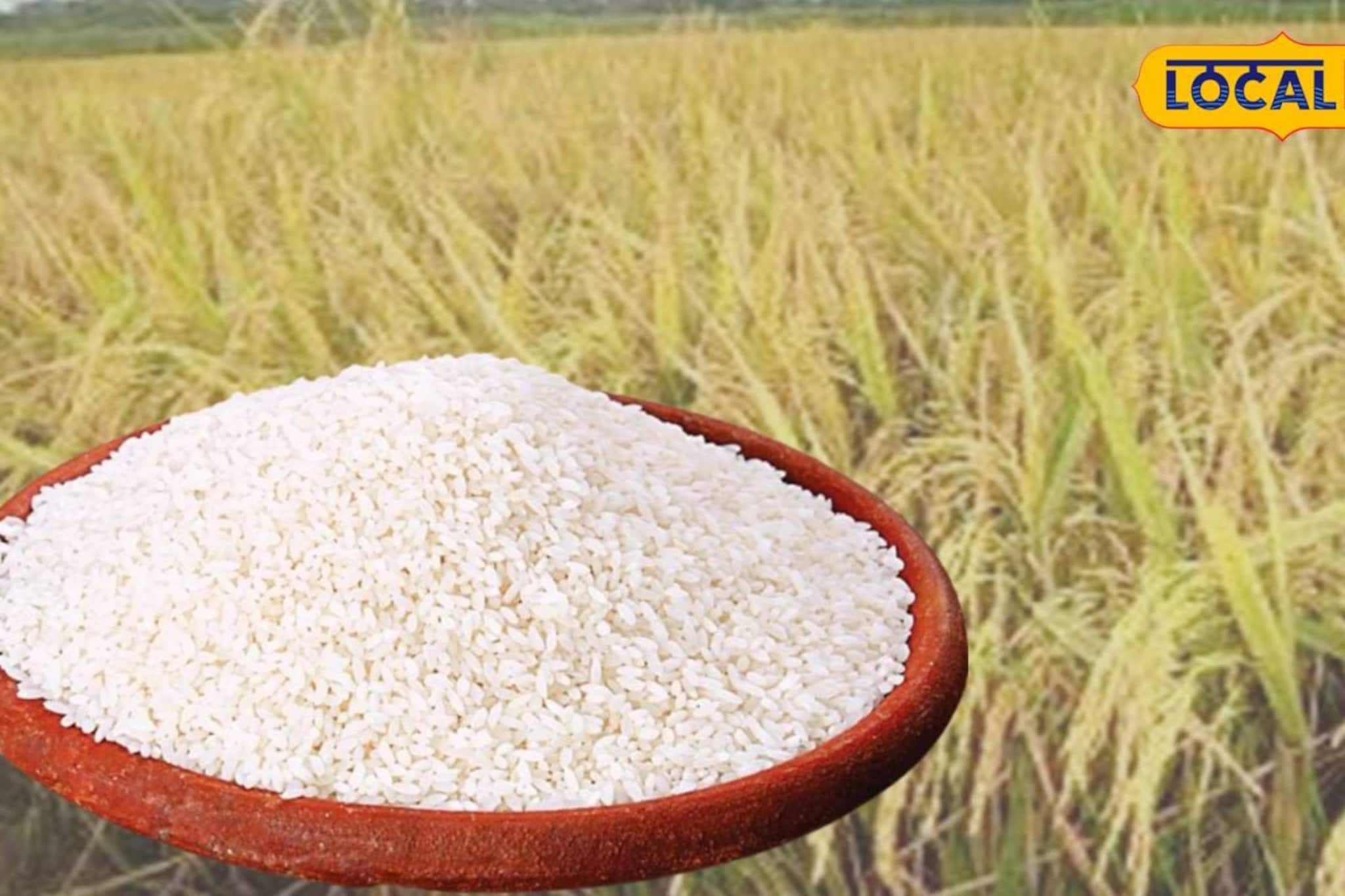 সদ্য মিলেছে ‘হেরিটেজ’ তকমা! বাংলার গর্বের তুলাইপাঞ্জি, কী এর বিশেষত্ব