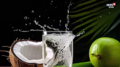नारियल पानी: चीनी-मुक्त सुपरड्रिंक जो साल भर रखेगा स्वस्थ, विशेषज्ञ ने बताए फायदे.