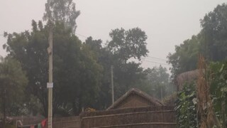 ঝাড়গ্রামে আতঙ্ক (প্রতীকী ছবি) ঝাড়গ্রামে আতঙ্ক (প্রতীকী ছবি)