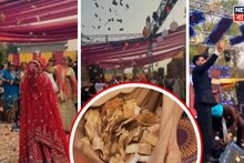 Viral Wedding: বিয়েবাড়িতে উড়ছে লক্ষ লক্ষ টাকা-ডলার, নোট কুড়োতে হুড়োহুড়ি আত্মীয়দের! দেখলে চোখ কপালে উঠবে!