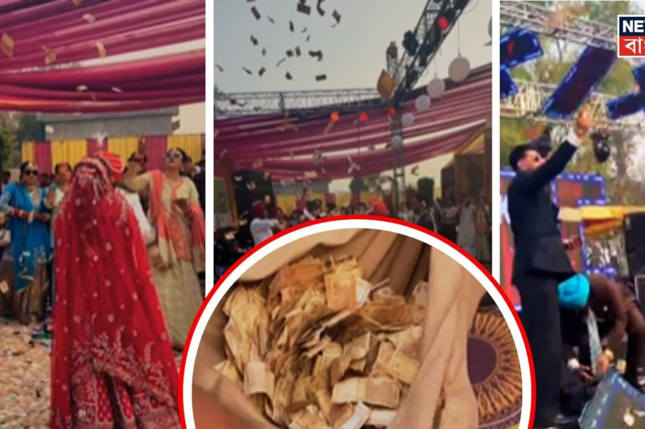 বিয়েবাড়িতে উড়ছে লক্ষ লক্ষ টাকা-ডলার, নোট কুড়োতে হুড়োহুড়ি আত্মীয়দের! দেখলে হতবাক হবেন