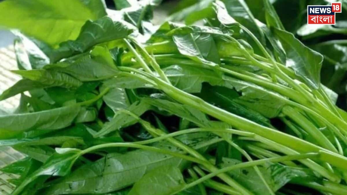 Kalmi Saag Benefits: মহিলাদের জন্য অমৃত...! ঝোপেঝাড়ে অবহেলায় বেড়ে ...
