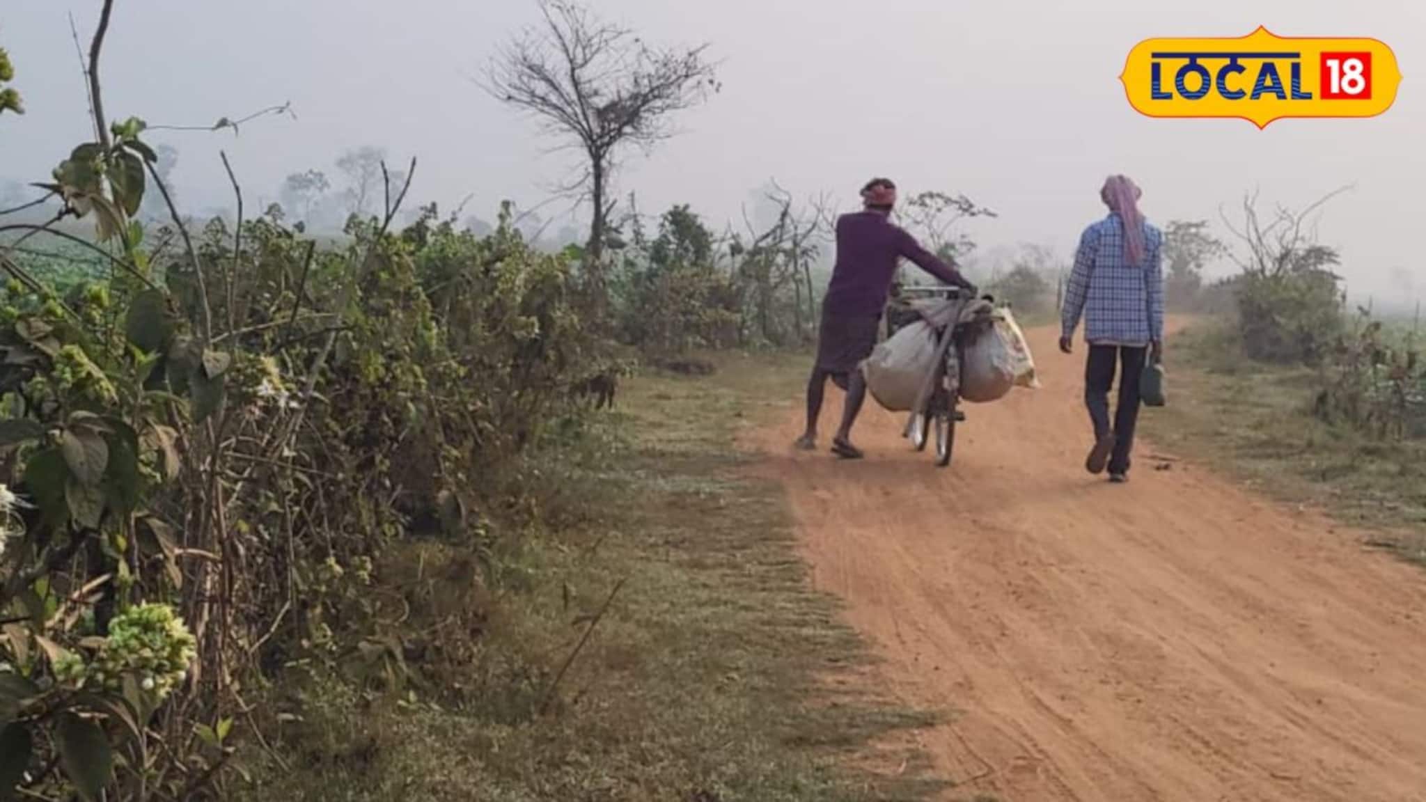 IMD Jhargram Weather Update: বঙ্গোপসাগরে ফের নিম্নচাপের ভ্রুকুটি! বৃষ্টির সম্ভাবনা দক্ষিণবঙ্গের এক জেলায়, আজ কেমন থাকবে ঝাড়গ্রাম, জানুন হাওয়া অফিসের লেটেস্ট আপডেট