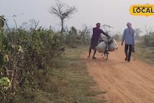 IMD Jhargram Weather Update: বঙ্গোপসাগরে ফের নিম্নচাপের ভ্রুকুটি! বৃষ্টির সম্ভাবনা দক্ষিণবঙ্গের এক জেলায়, আজ কেমন থাকবে ঝাড়গ্রাম, জানুন হাওয়া অফিসের লেটেস্ট আপডেট