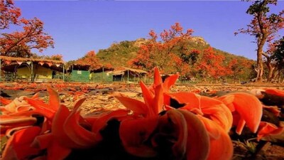 আবহাওয়ার পূর্বাভাস