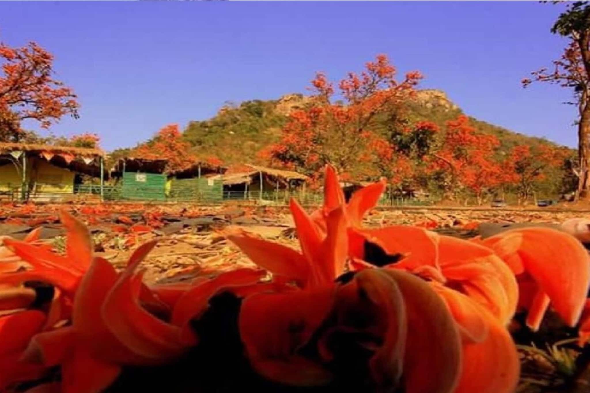 কখনও শীত, কখনও গরম! আগামী ২৪ ঘণ্টায় দক্ষিণবঙ্গে কেমন আবহাওয়া? জানিয়ে দিল আলিপুর