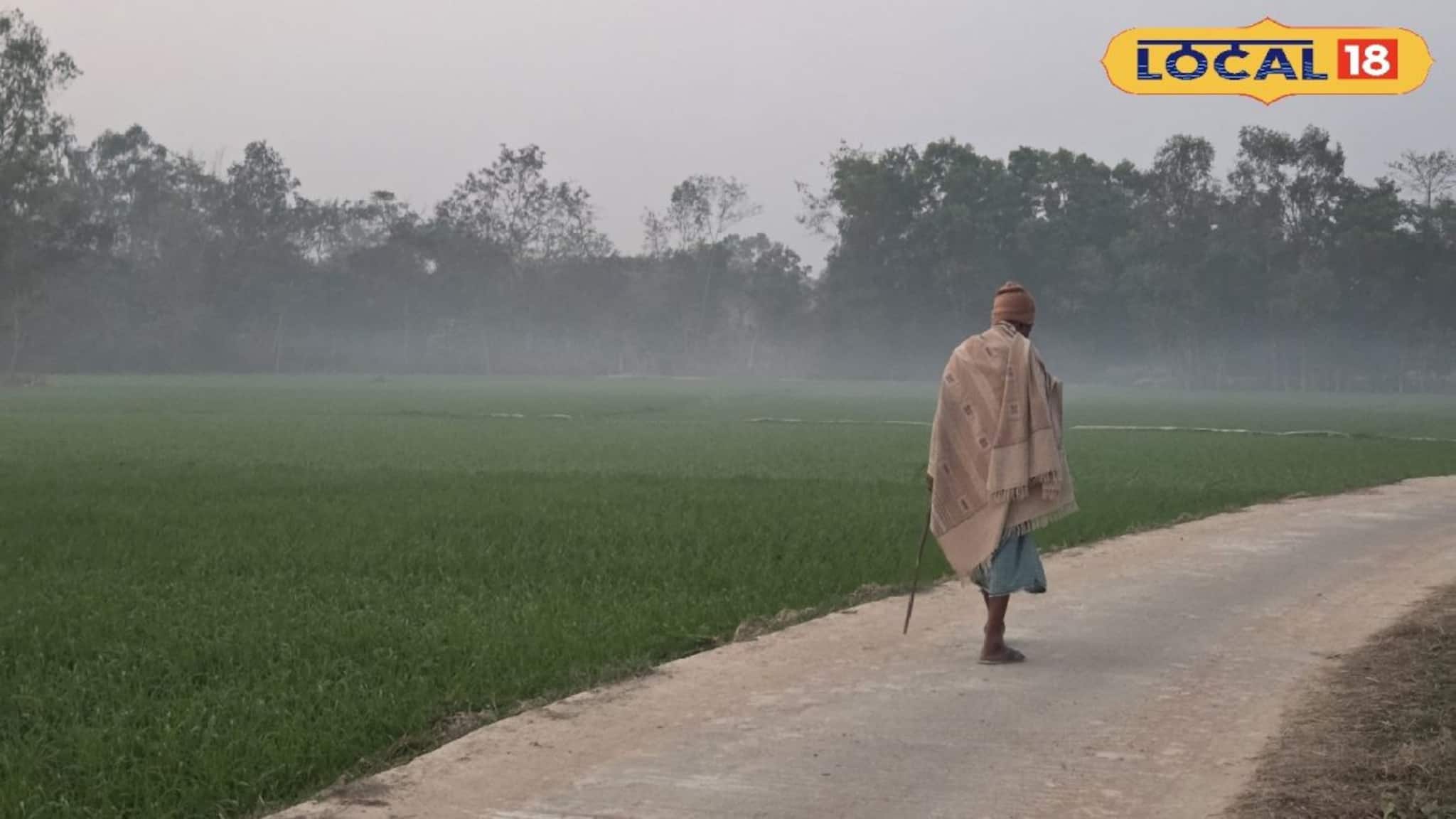 Weather Update: রবিবার মেঘলা আকাশ, সোম থেকে আবহাওয়ার বিরাট বদল! জেলায় জেলায় বৃষ্টির পূর্বাভাস, কী বলছে হাওয়া অফিস? জানুন