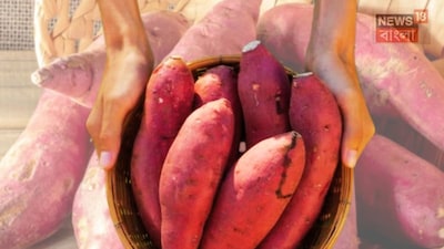 नकली शकरकंद से सावधान: असली और नकली की पहचान के लिए अपनाएं ये आसान तरीके.