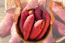 How To Pick Real Sweet Potato: বাজার ছেয়ে গেছে নকল রাঙা আলু! কেনার আগে দুটি বিষয় নজরে রাখুন, দোকানদার ঠকাতে পারবেন না