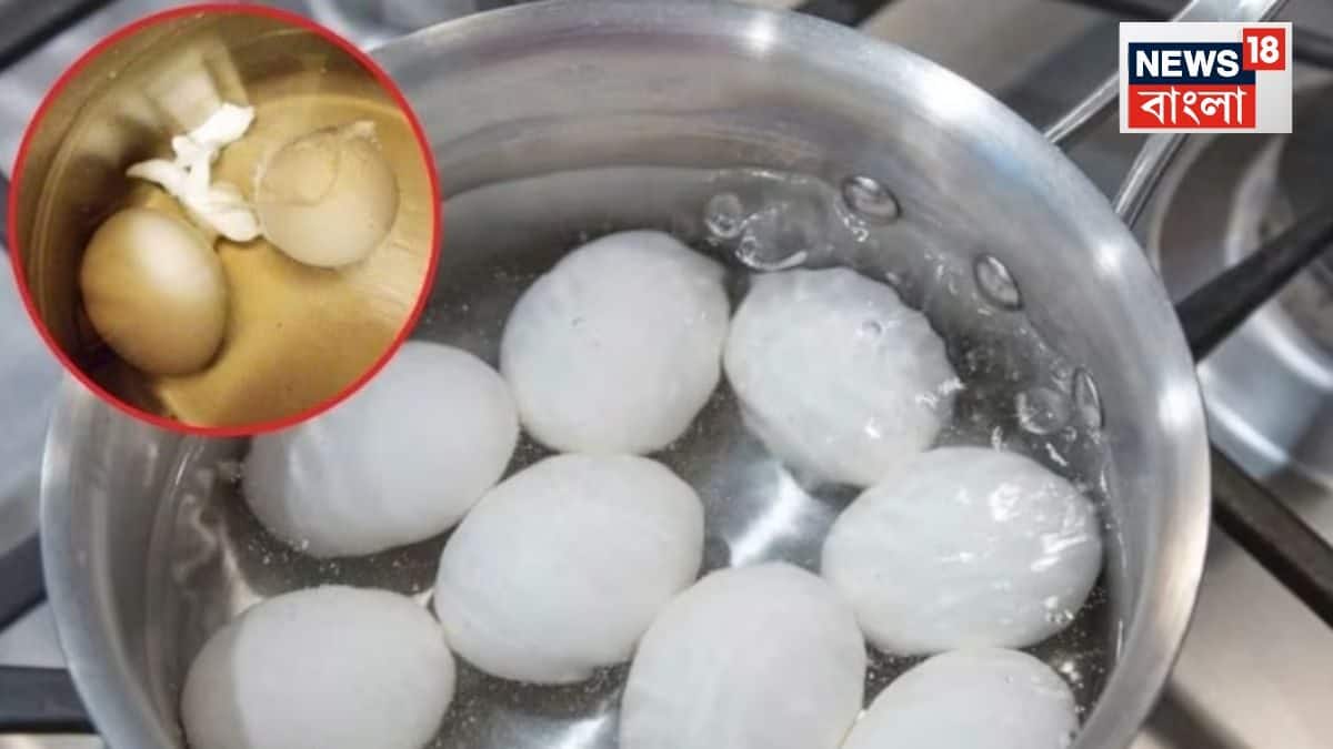 Egg Peeling Tips: সিদ্ধ ডিম ছাড়াতে গিয়ে খুবলে বেরিয়ে আসে কুসুম, ছোট্ট ঘরোয়া টিপস-এ ম্যাজিকের মতো খুলে যাবে খোসা!